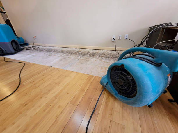 Professional Emergency Water Damage technician working in Jonesburg, MO